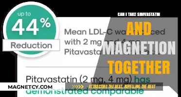 Simvastatin and Magnetion: Safe to Combine or Potential Risks?