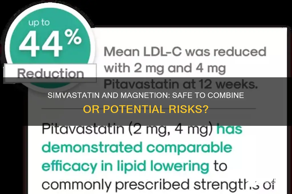 can i take simvastatin and magnetion together
