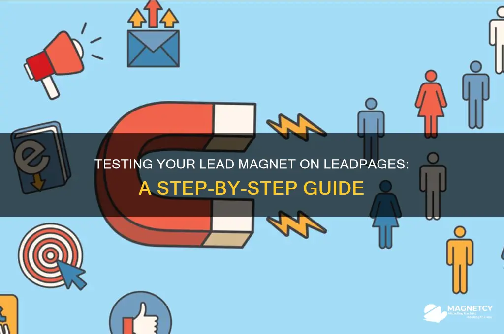 can i test my lead magnet on leadpages