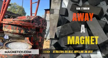 Can You Safely Dispose of Magnets? Eco-Friendly Tips and Warnings