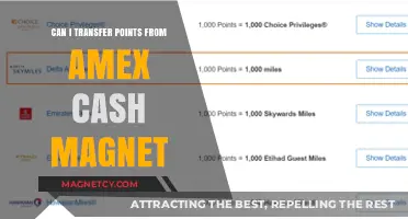 Transferring Amex Cash Magnet Points: What You Need to Know