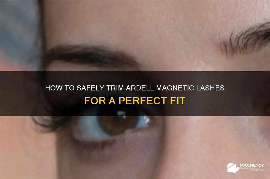 can i trim ardell magnetic lasjes
