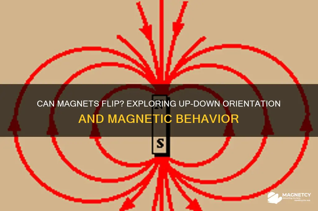 can i turn a magnet up and down
