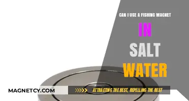 Fishing Magnets in Salt Water: Effective Use and Tips