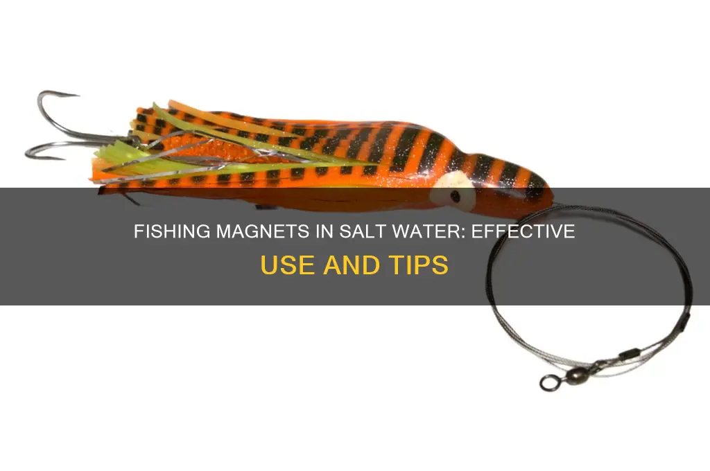 can i use a fishing magnet in salt water