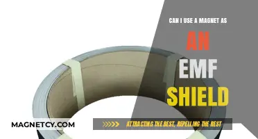 Using Magnets as EMF Shields: Fact or Fiction?