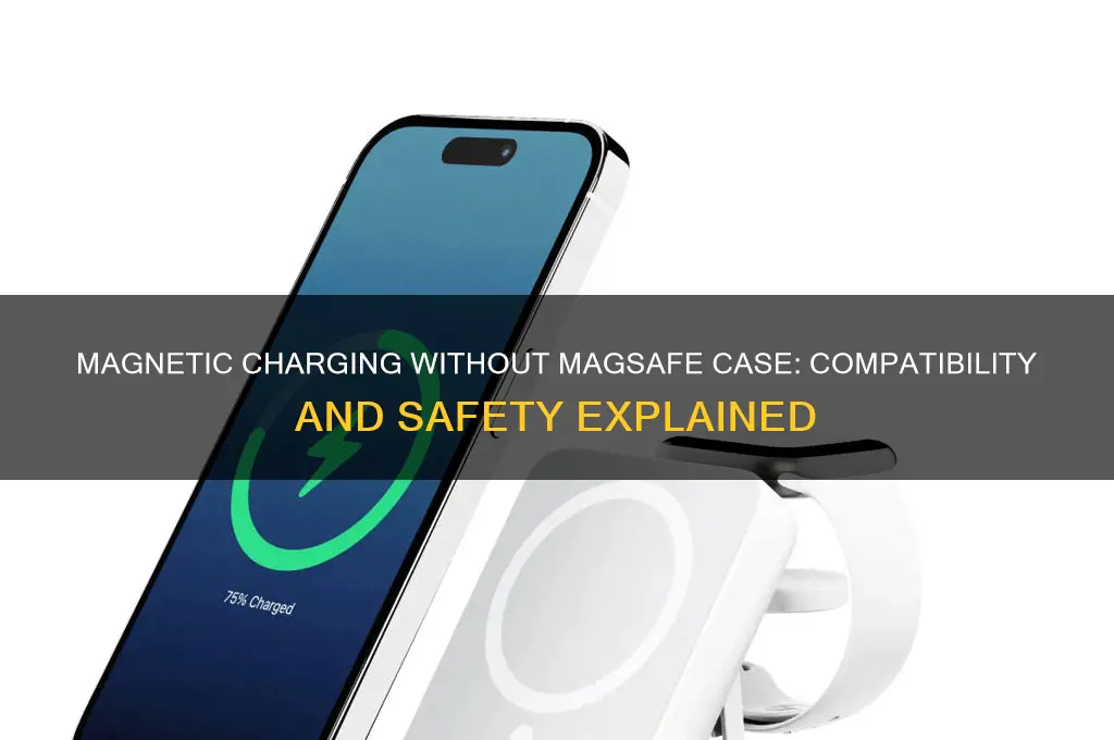 can i use a magnetic charger without a magsafe case