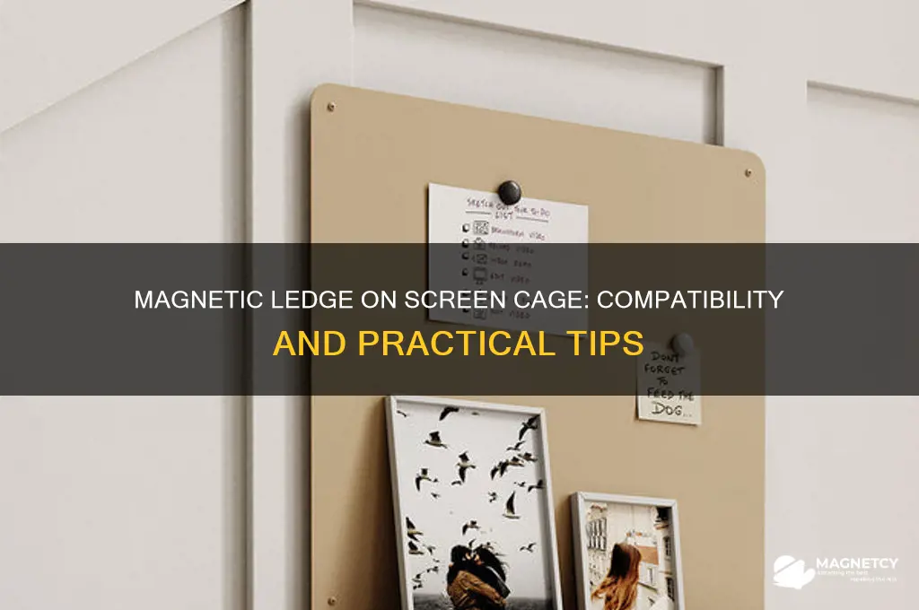 can i use a magnetic ledge on a screencage