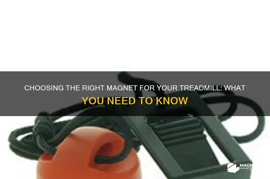can i use any magnet for my treadmill