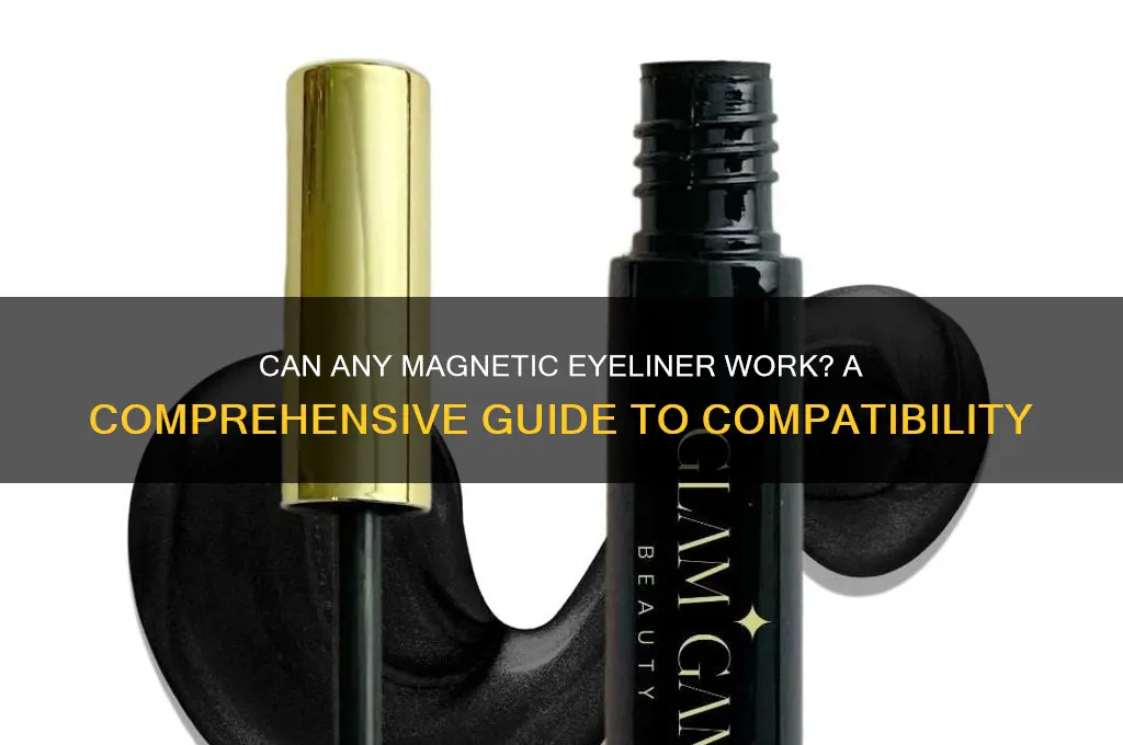can i use any magnetic eyeliner