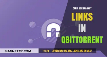 Using Magnet Links in qBittorrent: A Comprehensive Guide for Beginners