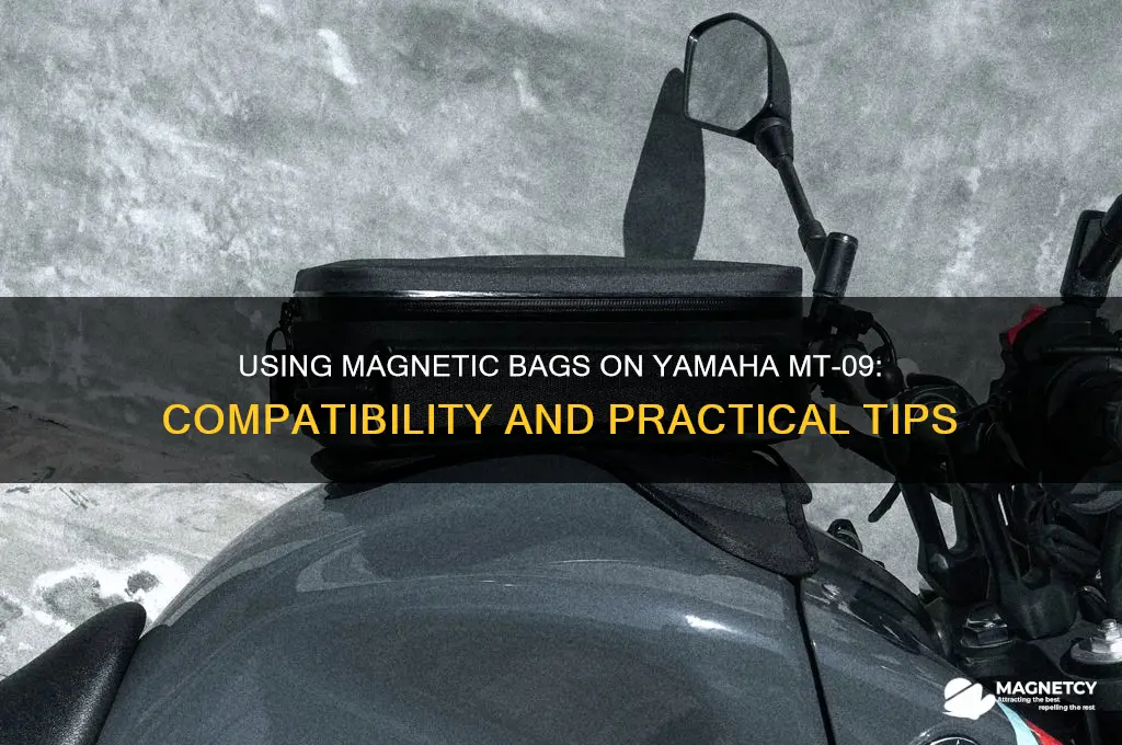 can i use magnetic bag on mt09
