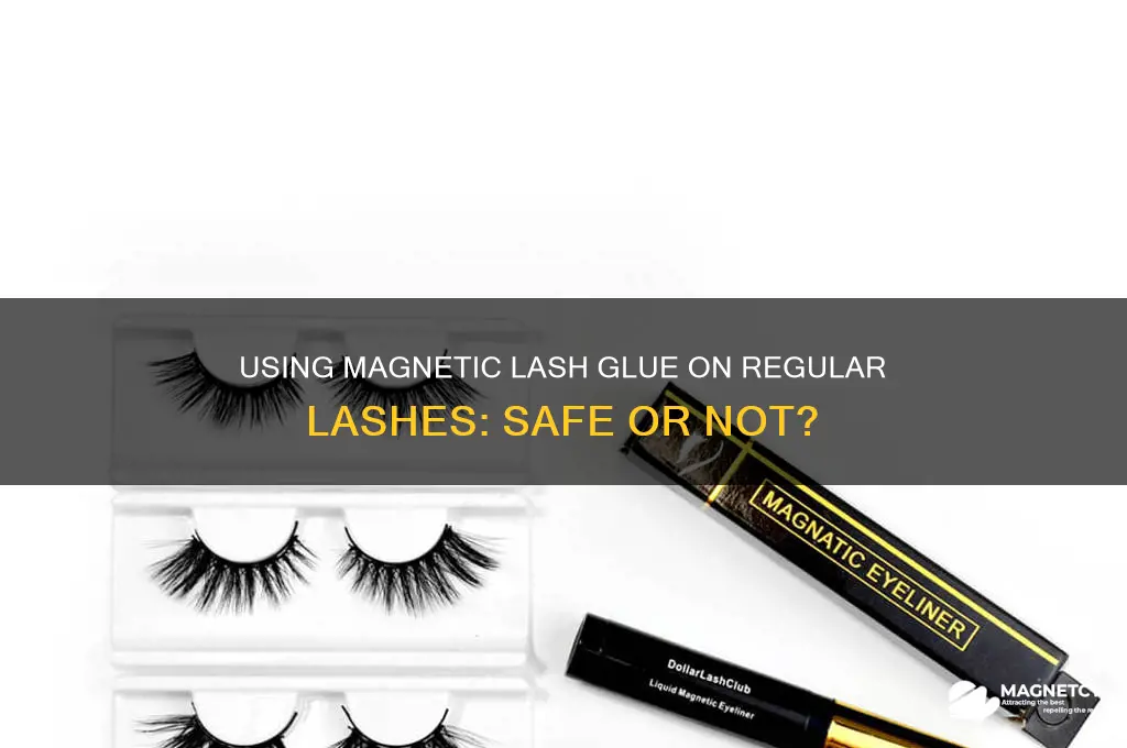 can i use magnetic lash glue on regular lashes