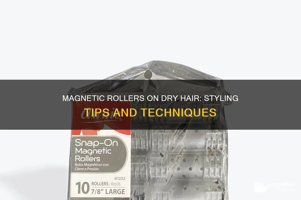 can i use magnetic rollers on dry hair