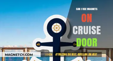 Magnets on Cruise Doors: A Practical Guide for Passengers