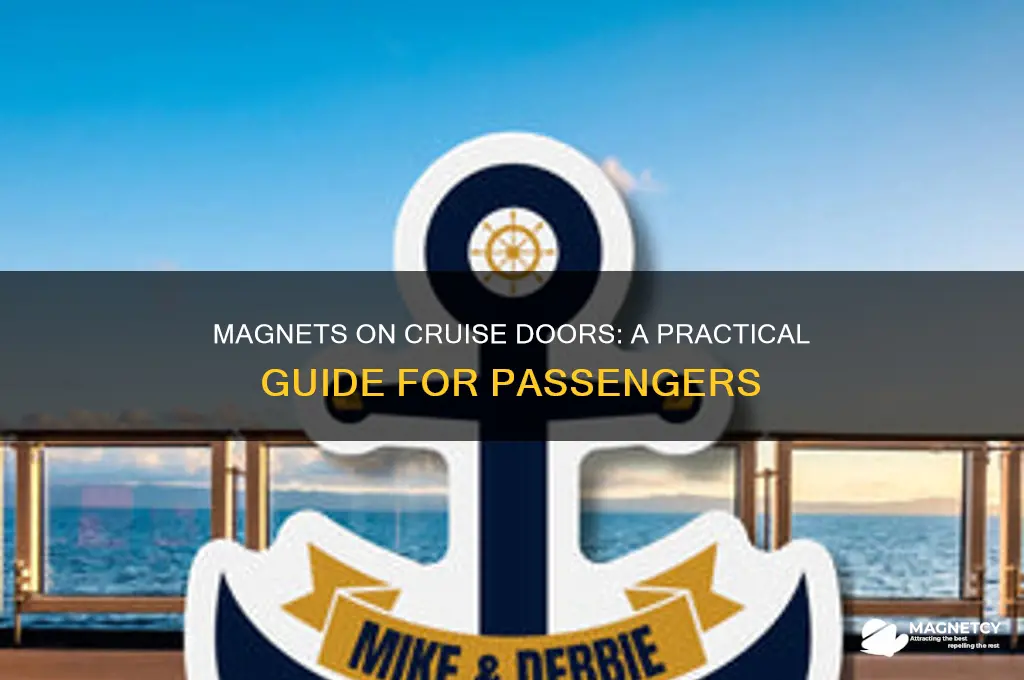 can i use magnets on cruise door