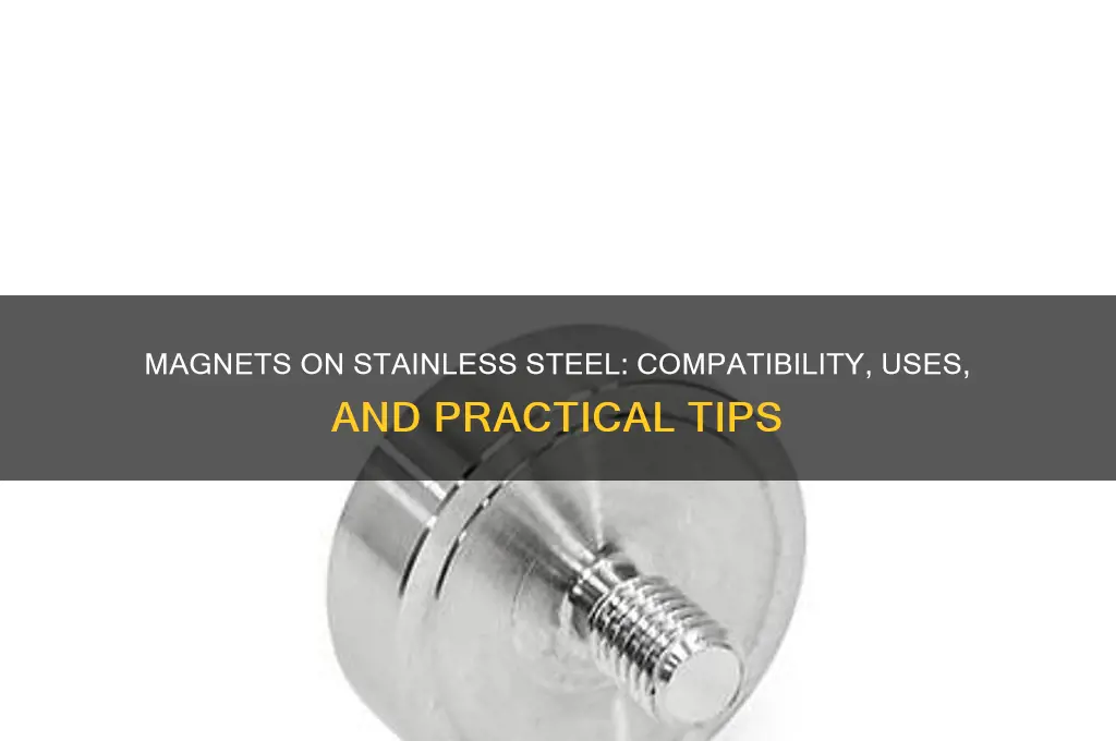 can i use magnets on stainless steel