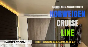 Using Metal Magnet Hooks on Norwegian Cruise Line: What You Need to Know