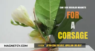 Regular Magnets for Corsages: Creative or Risky DIY Idea?