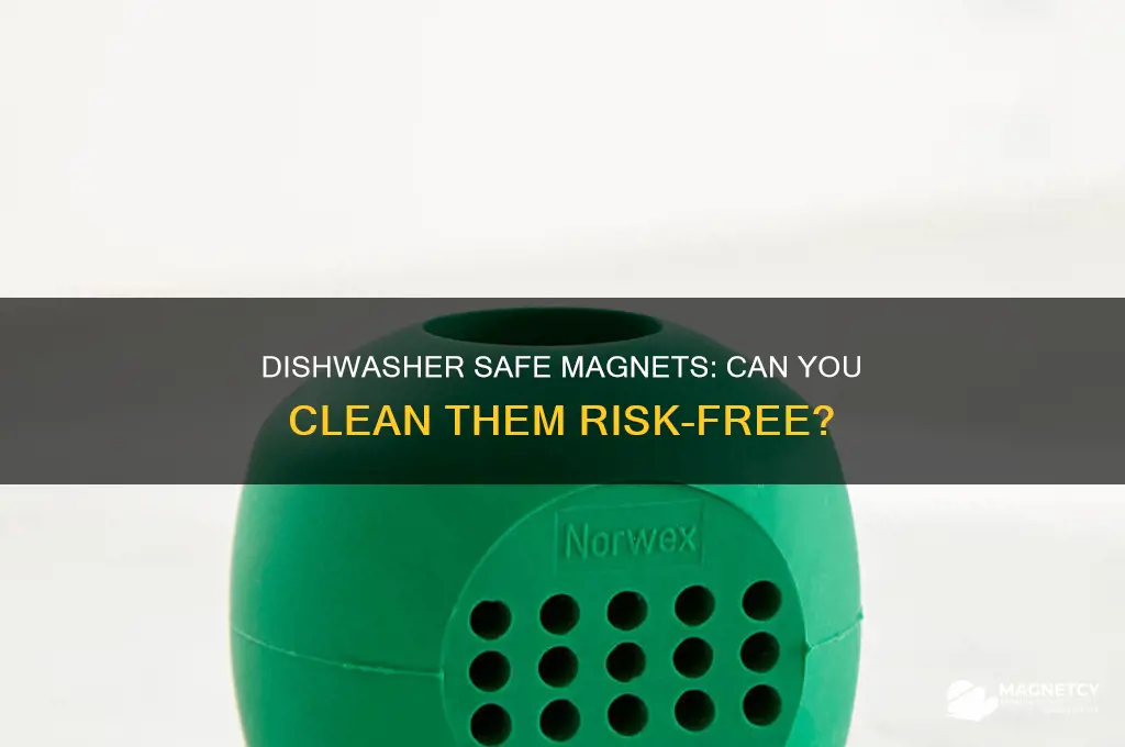 can i wash my magnets in the dishwasher