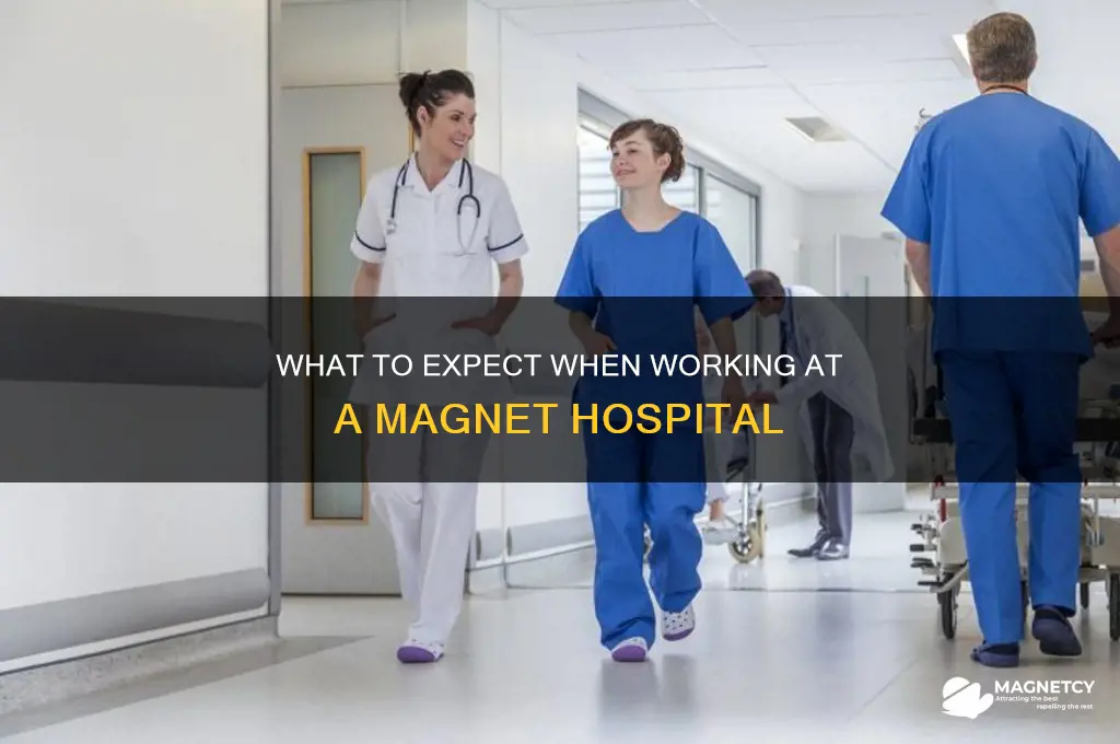 can i working at a magnet hospital expect