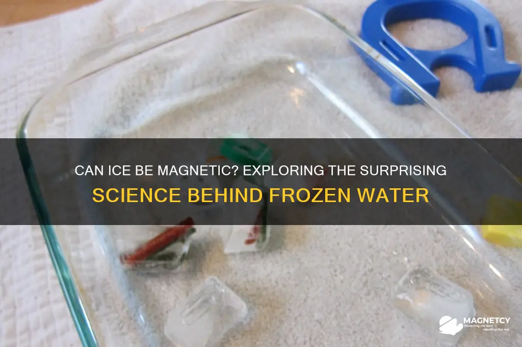can ice be magnetic