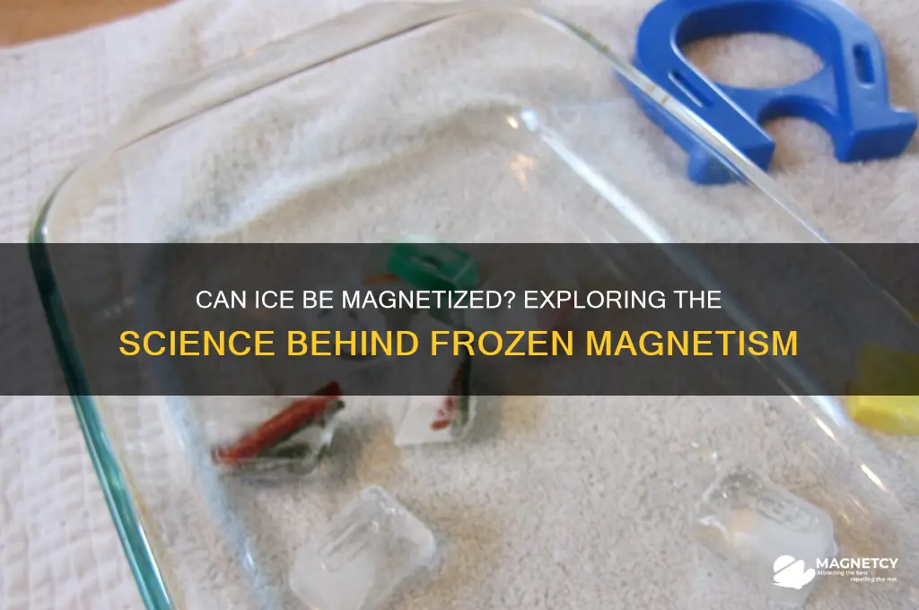 can ice be magnetized