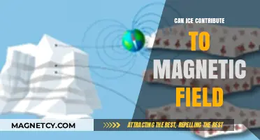 Exploring Ice's Role in Earth's Magnetic Field Dynamics