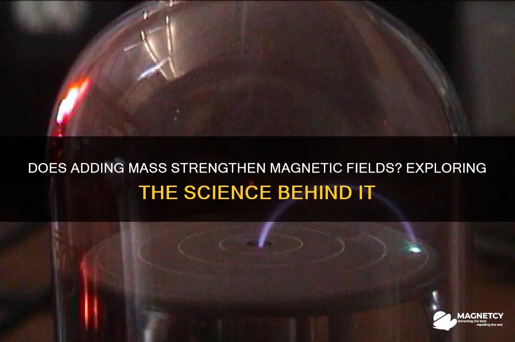 can increasing the mass increase magnetic field
