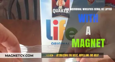 Magnet Test: Can Individual Wheaties Cereal Pieces Be Lifted?