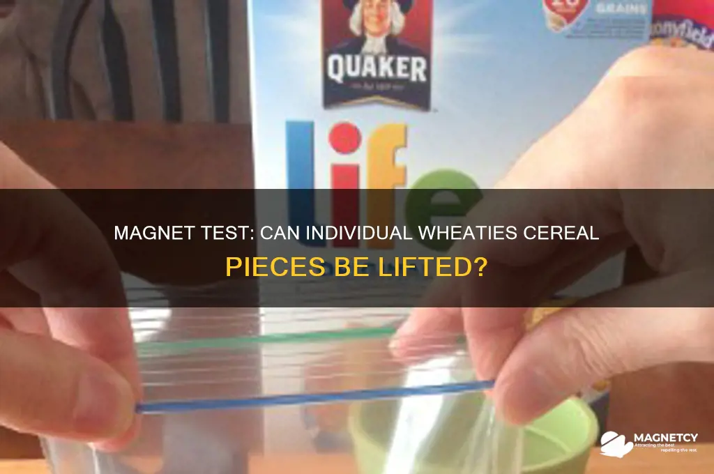 can individual wheaties ceral be lifted with a magnet