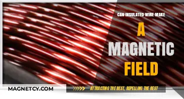 Can Insulated Wire Generate a Magnetic Field? Exploring the Science