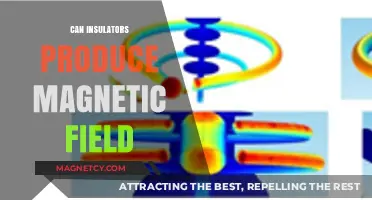 Can Insulators Generate Magnetic Fields? Unveiling the Science Behind It
