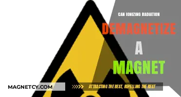 Ionizing Radiation's Impact: Can It Demagnetize Permanent Magnets?
