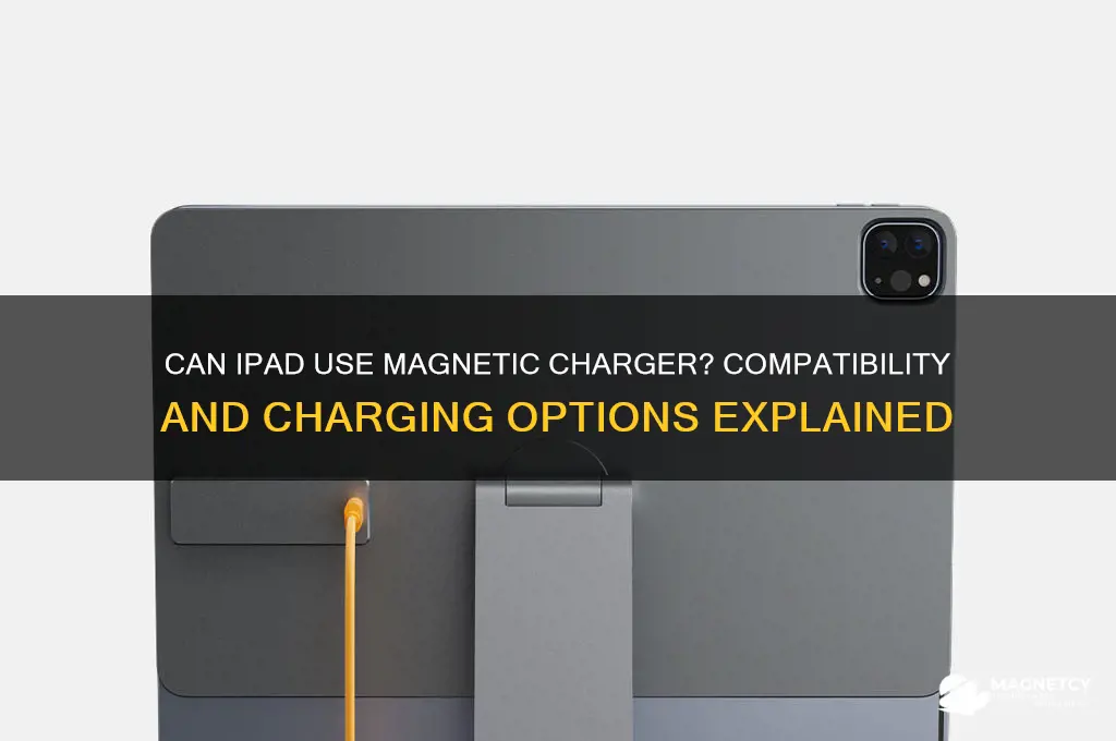 can ipad use magnetic charger