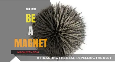 Can Iron Become Magnetic? Exploring the Science Behind Magnetism