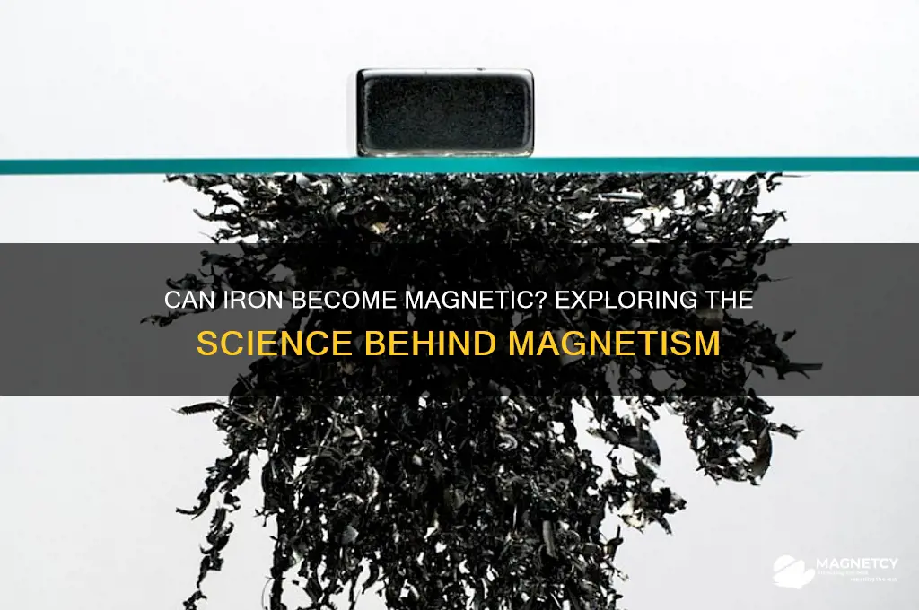 can iron be a magnet