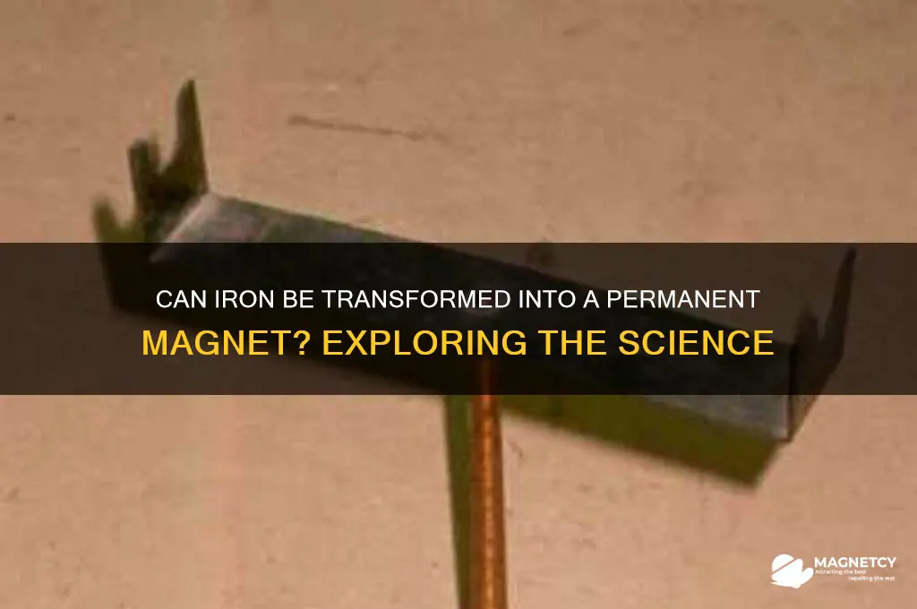 can iron be made into a permanent magnet