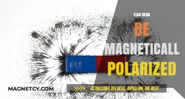 Can Iron Be Magnetically Polarized? Exploring Magnetic Properties of Iron