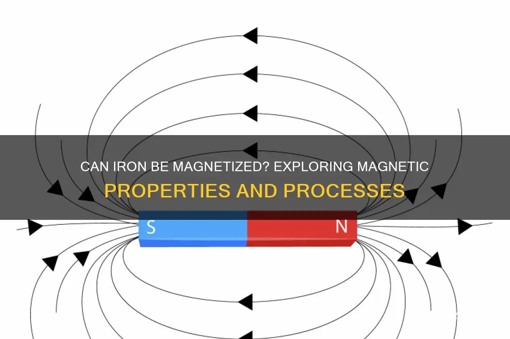 can iron be magnetized