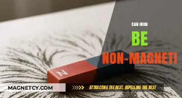 Can Iron Be Non-Magnetic? Exploring the Science Behind Magnetic Properties