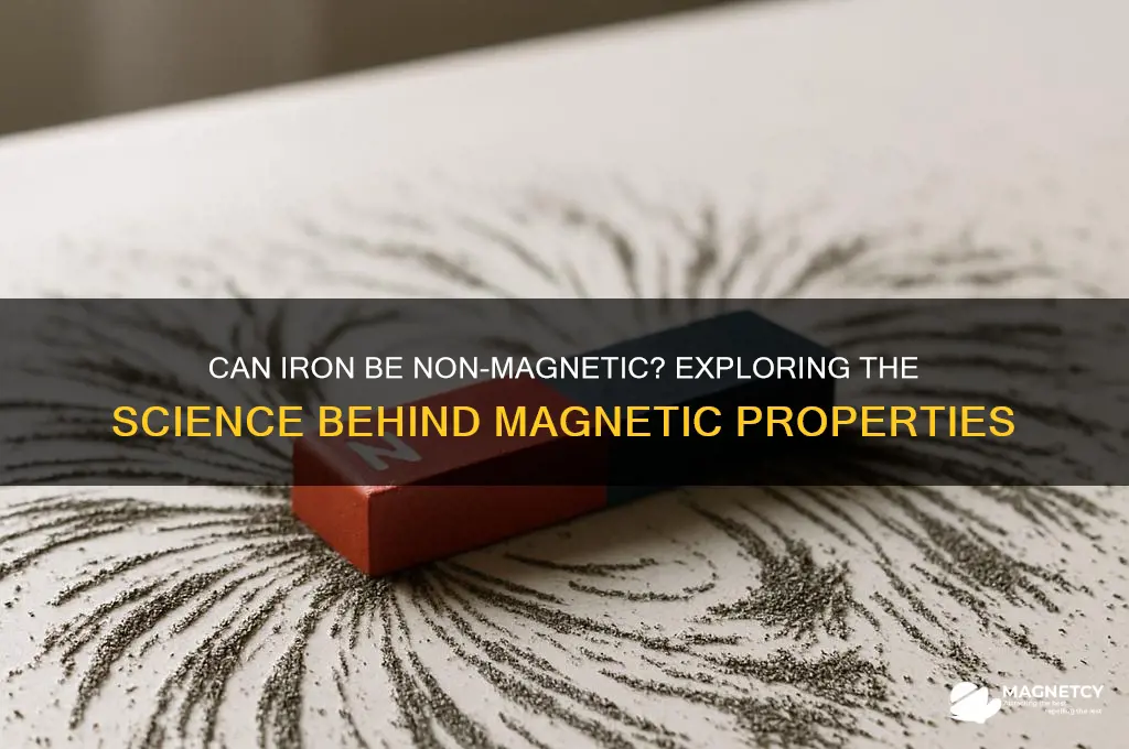 can iron be non-magnetic