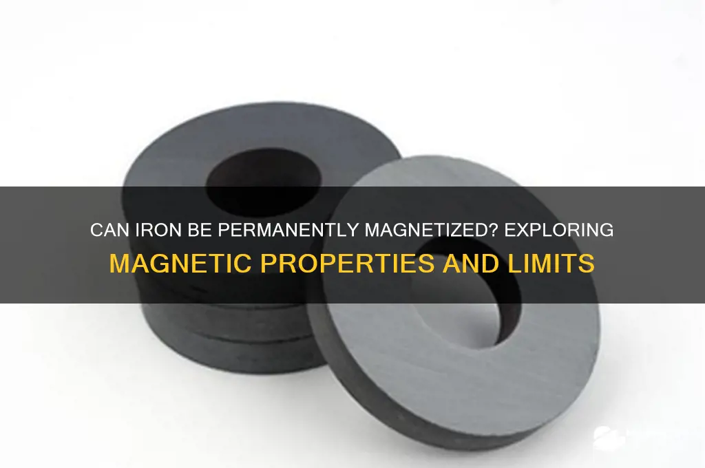 can iron be permanently magnetized
