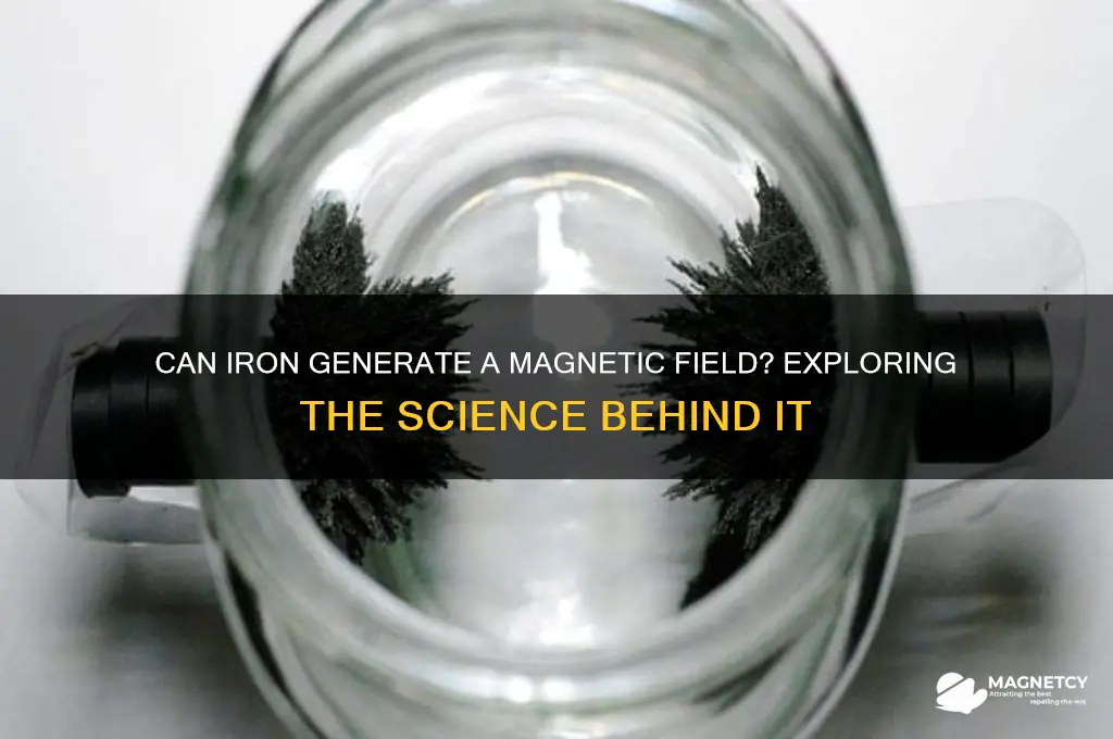 can iron create a magnetic field