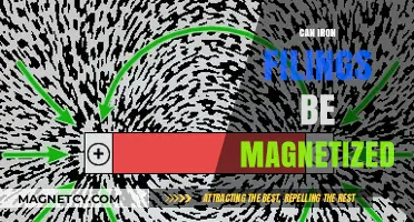 Can Iron Filings Be Magnetized? Exploring Magnetic Properties and Processes