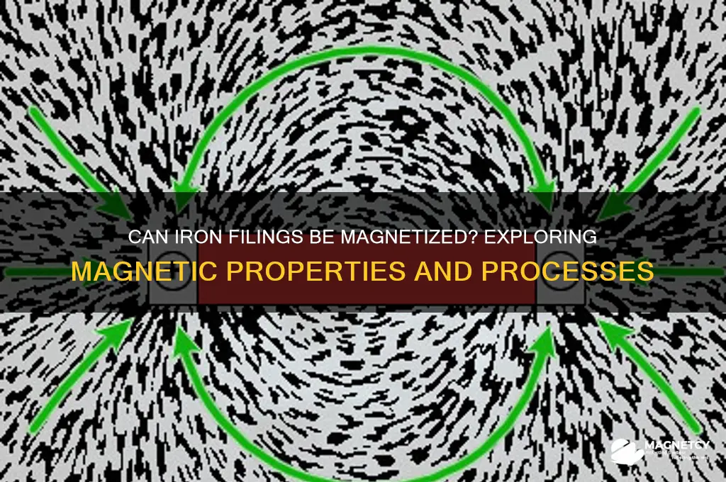 can iron filings be magnetized