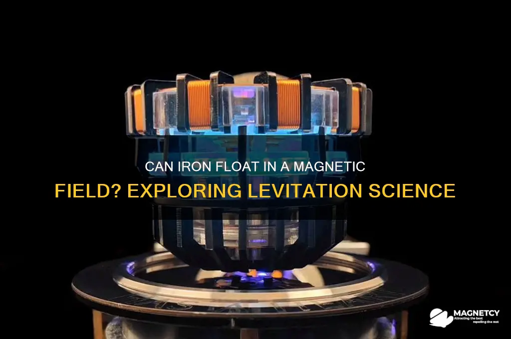 can iron float in a magnetic field