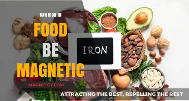 Can Iron in Food Be Magnetic? Exploring Dietary Iron's Properties