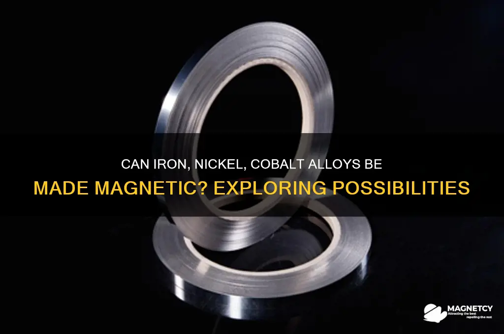 can iron nickelcobalt be made magnetic