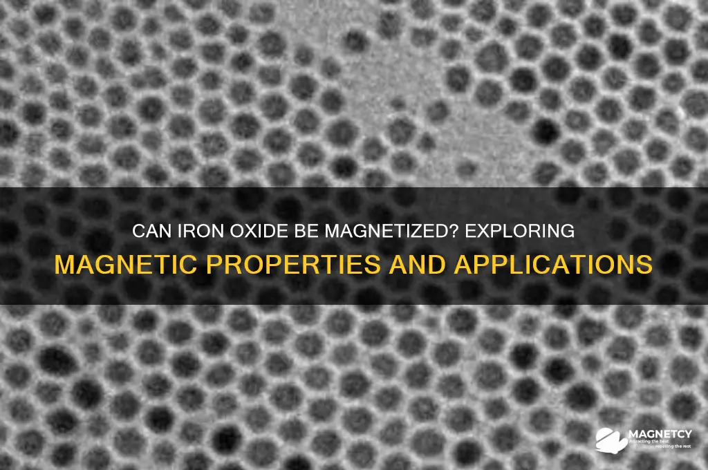 can iron oxide be magnetized